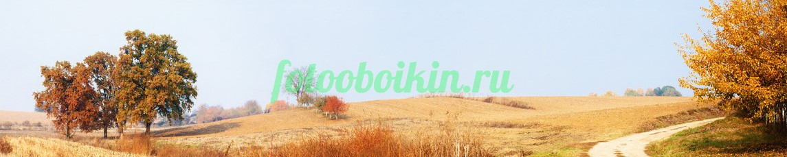 Фартук для кухни № 3604