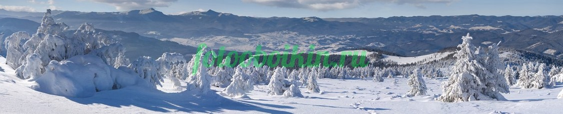 Фартук для кухни № 3605