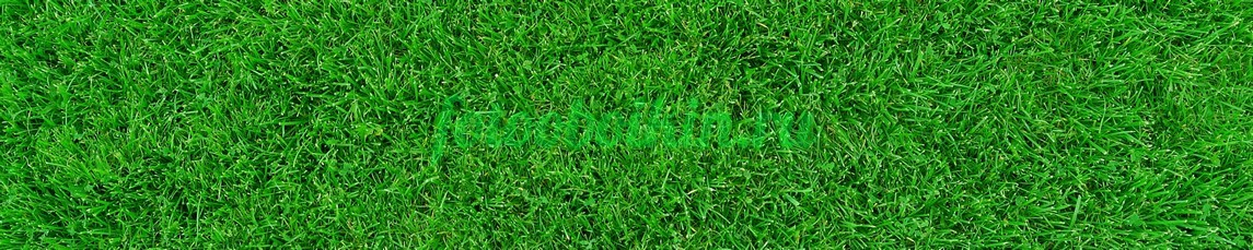 Фартук для кухни № 4039