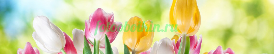 Фартук для кухни № 4373