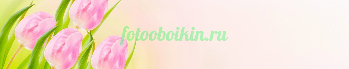 Фартук для кухни № 4374