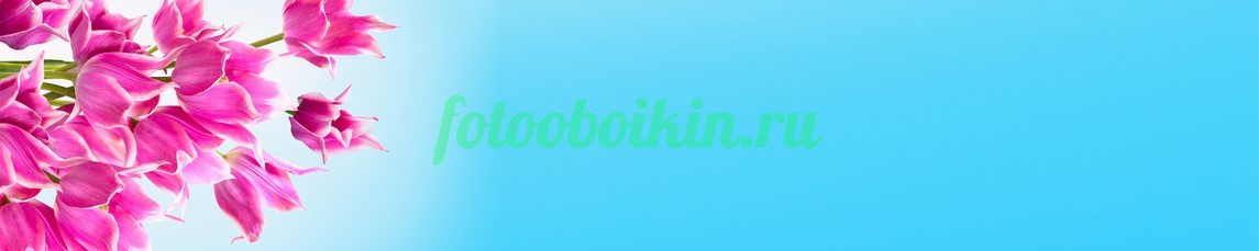 Фартук для кухни № 4375