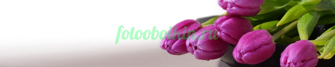 Фартук для кухни № 4377
