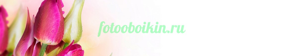 Фартук для кухни № 4378