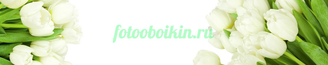 Фартук для кухни № 4381