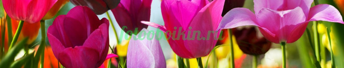 Фартук для кухни № 4384