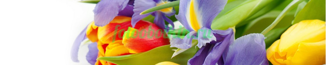 Фартук для кухни № 4388
