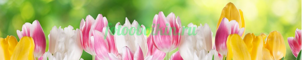 Фартук для кухни № 4392