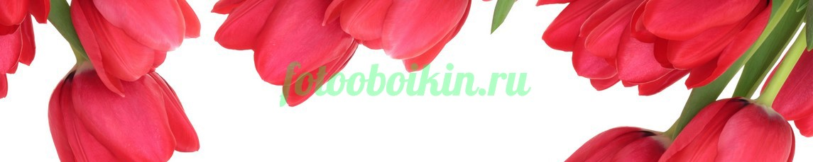 Фартук для кухни № 4396