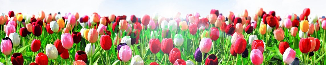 Фартук для кухни № 4397