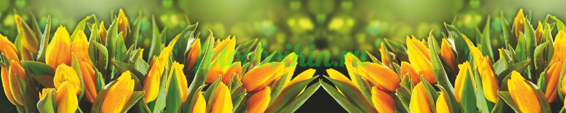 Фартук для кухни № 4398