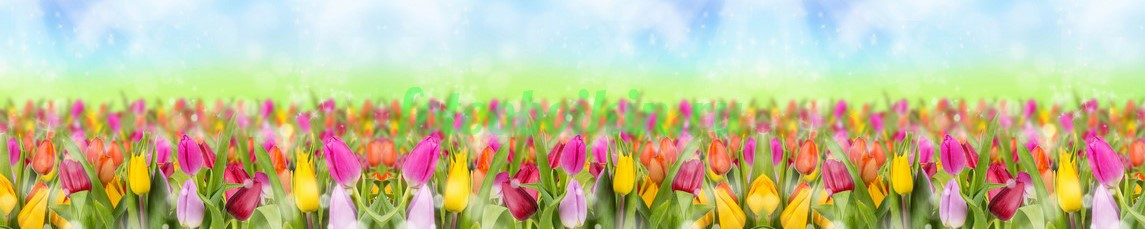 Фартук для кухни № 4399