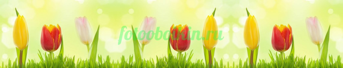 Фартук для кухни № 4400