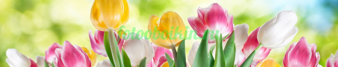 Фартук для кухни № 4407