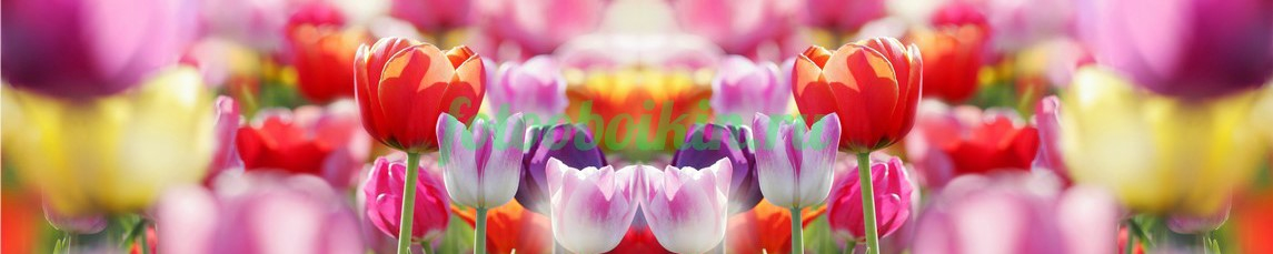 Фартук для кухни № 4408