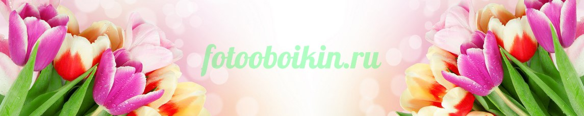 Фартук для кухни № 4411