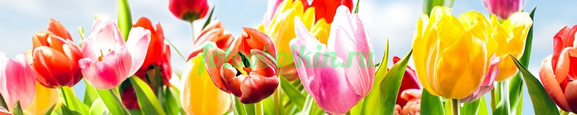 Фартук для кухни № 4413