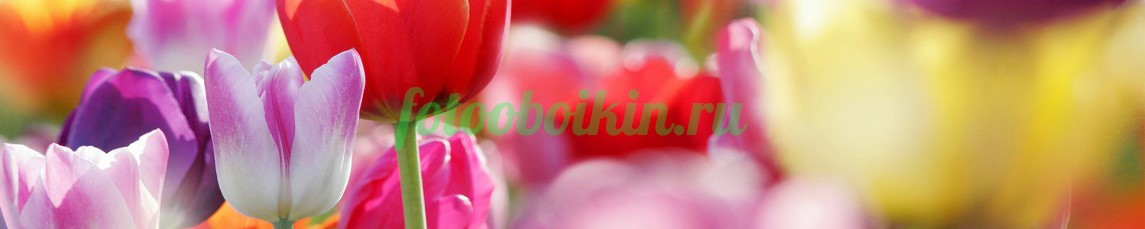 Фартук для кухни № 4421