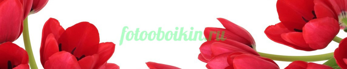Фартук для кухни № 4425