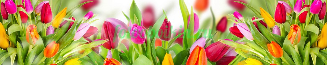 Фартук для кухни № 4426