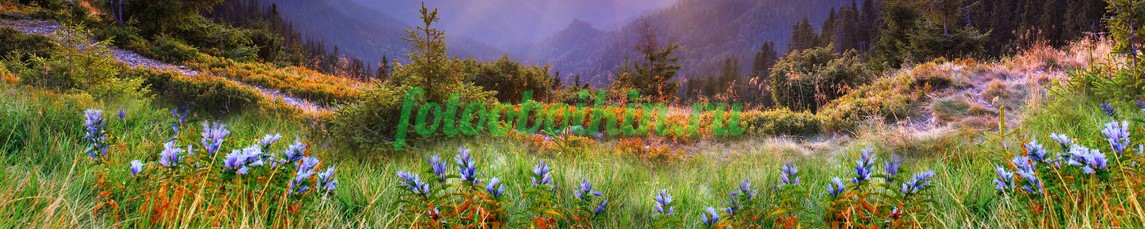 Фартук для кухни № 4430
