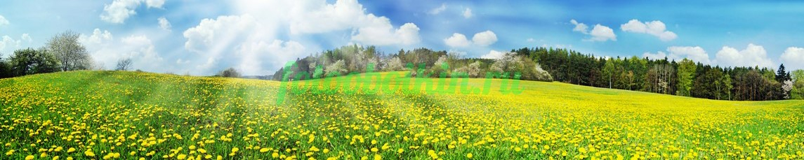 Фартук для кухни № 4431