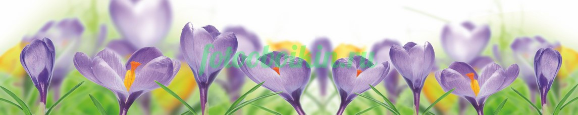 Фартук для кухни № 4437