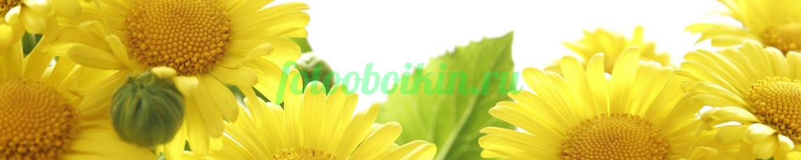 Фартук для кухни № 4444