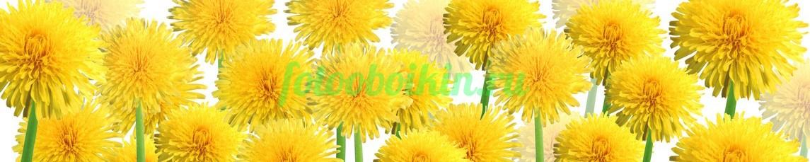 Фартук для кухни № 4445