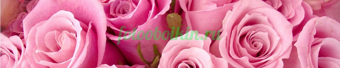 Фартук для кухни № 4454