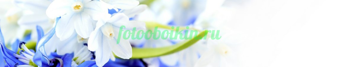 Фартук для кухни № 4470