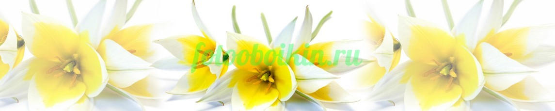 Фартук для кухни № 4477