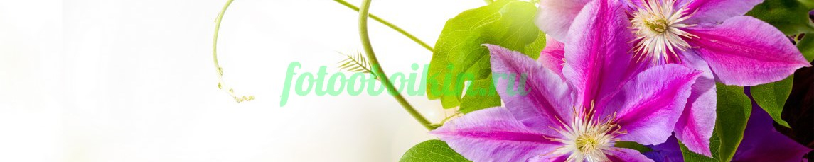 Фартук для кухни № 4485