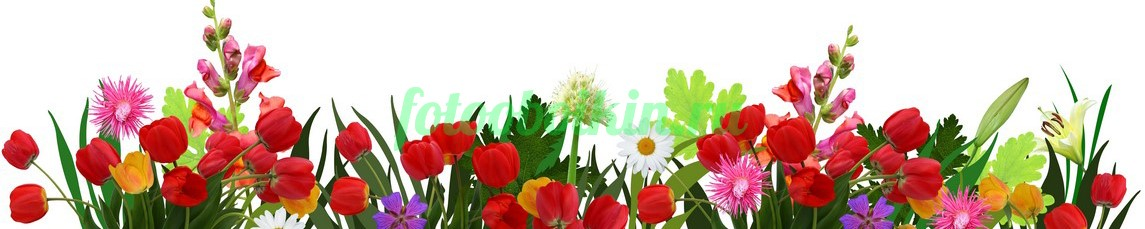 Фартук для кухни № 4489