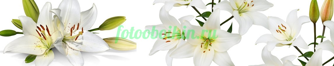 Фартук для кухни № 4491