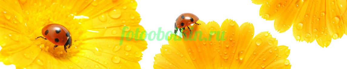 Фартук для кухни № 4493