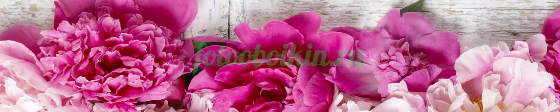 Фартук для кухни № 4495