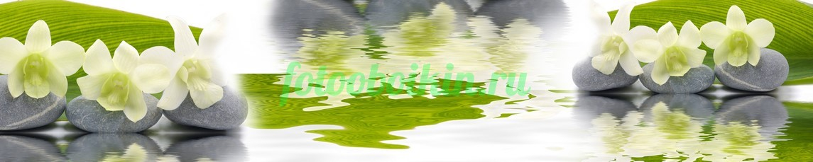 Фартук для кухни № 4502