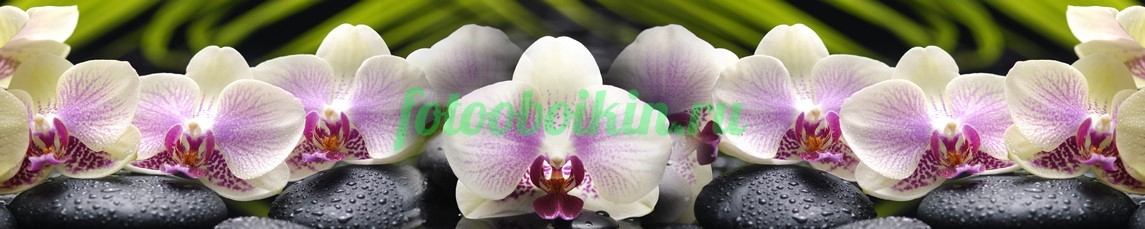 Фартук для кухни № 4504