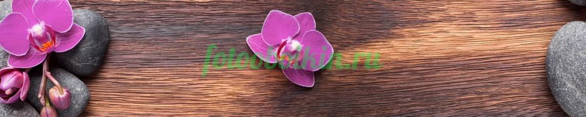 Фартук для кухни № 4508