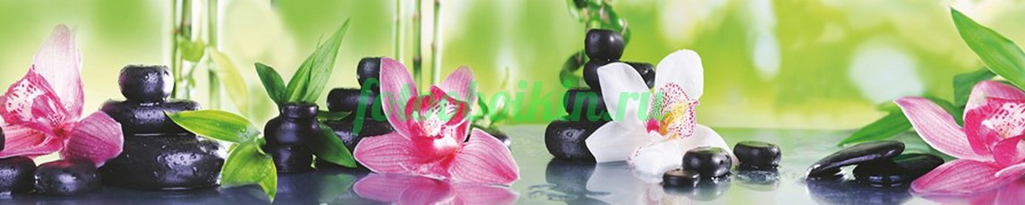 Фартук для кухни № 4510