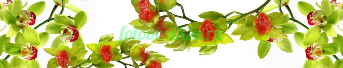 Фартук для кухни № 4511