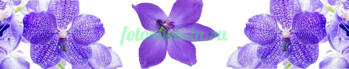 Фартук для кухни № 4512