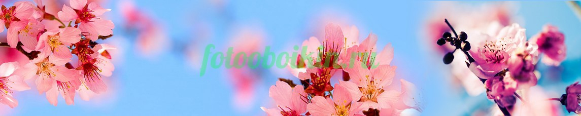 Фартук для кухни № 4516