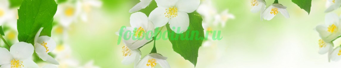 Фартук для кухни № 4519