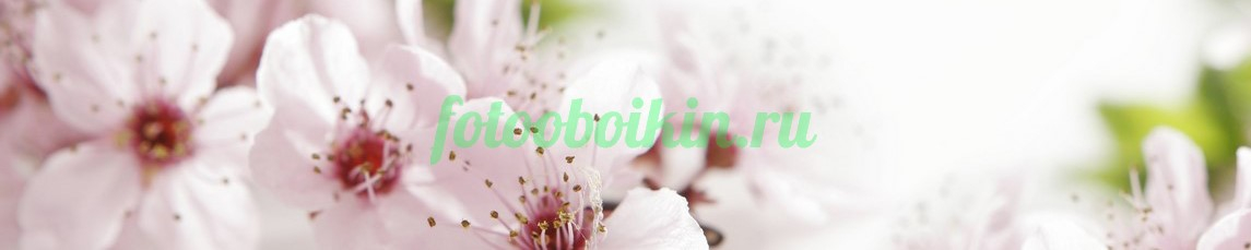 Фартук для кухни № 4521