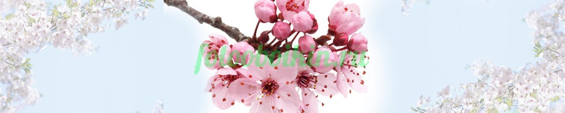 Фартук для кухни № 4524