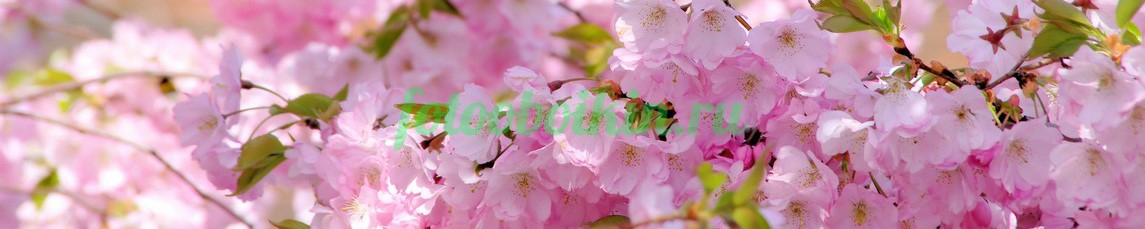 Фартук для кухни № 4525