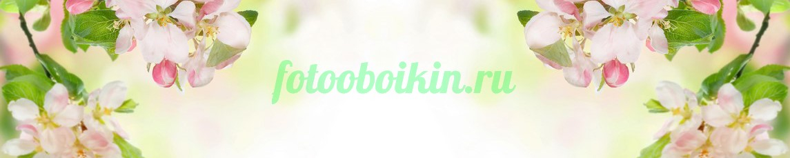 Фартук для кухни № 4529