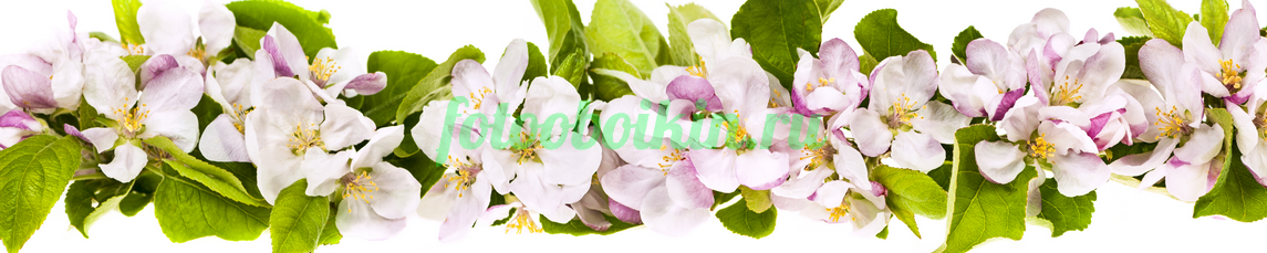 Фартук для кухни № 4530